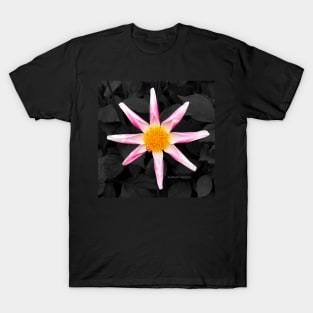 Star Flower Art T-Shirt